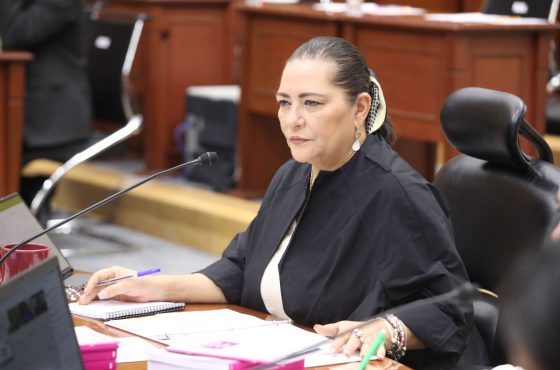 Guadalupe Taddei, Consejera presidenta del INE