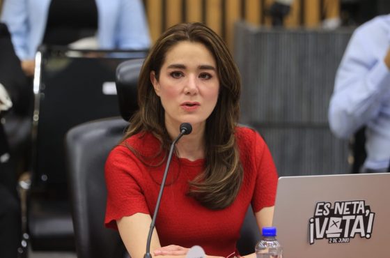 Dania Ravel Cuevas, Consejera Electoral