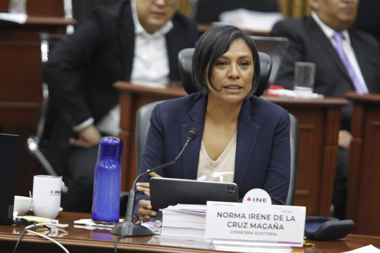Norma Irene De La Cruz, Consejera Electoral.