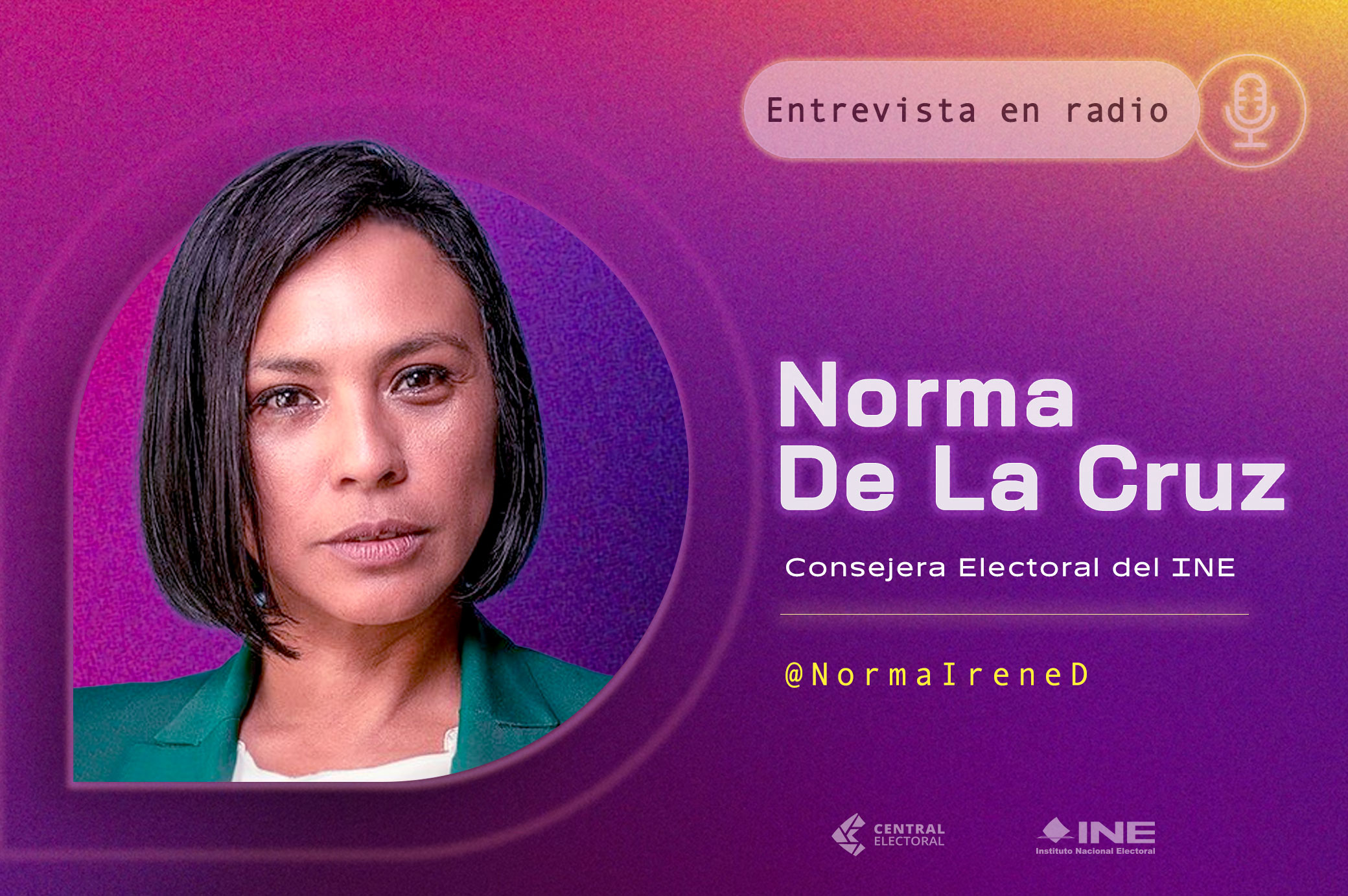 Consejera Electoral, Norma De La Cruz