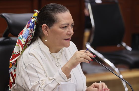 Guadalupe Taddei Zavala, Consejera Presidenta del INE