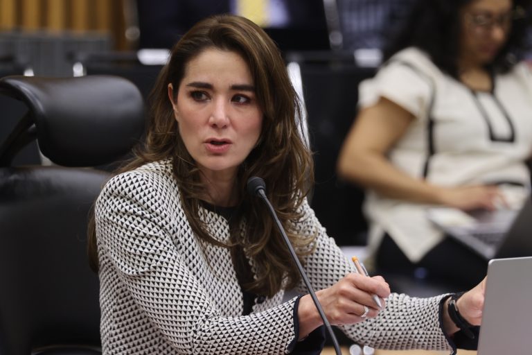 Consejera Dania Ravel en sesión del Consejo General del INE