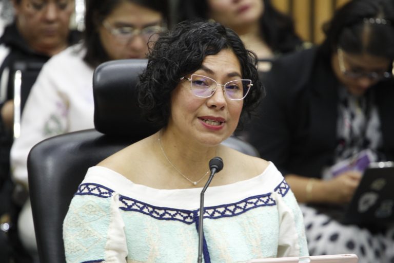 Rita Bell López, Consejera Electoral