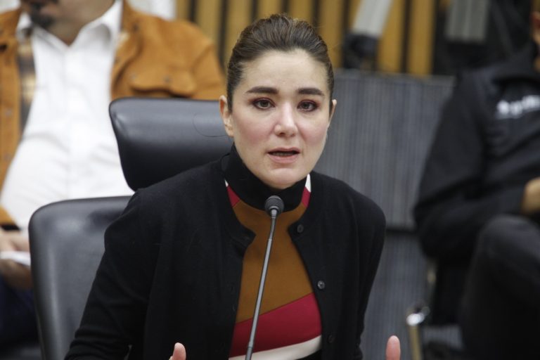 Dania Ravel Cuevas, Consejera Electoral