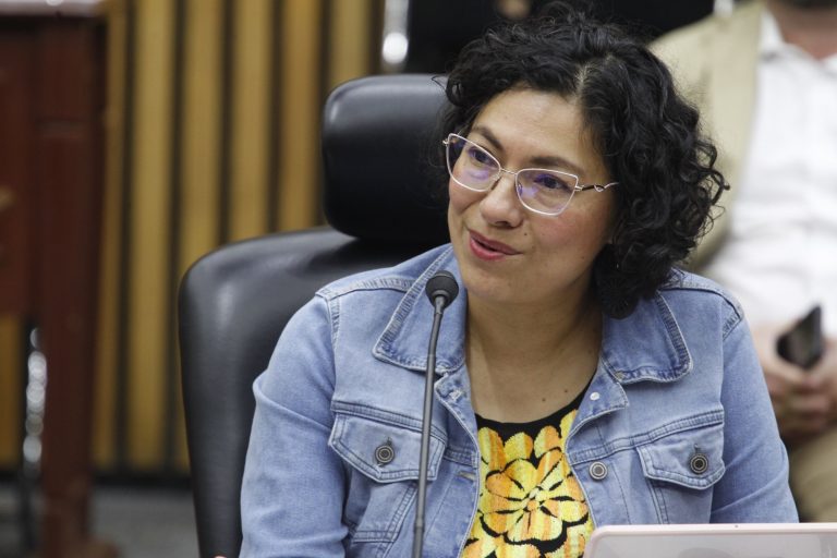 Rita Bell López Vences, Consejera Electoral.