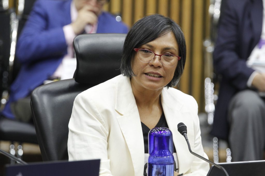 Norma Irene de la Cruz, Consejera Electoral