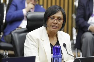 Norma Irene de la Cruz, Consejera Electoral