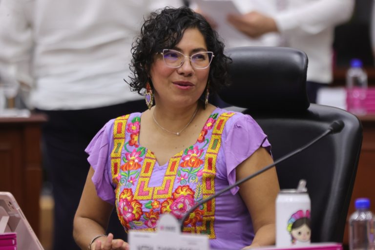 Rita Bell López Vences, Consejera Electoral.