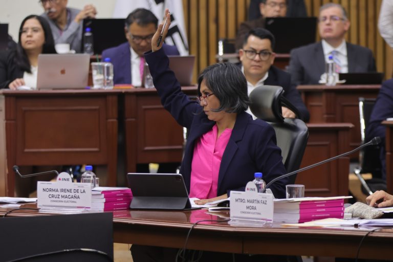 Norma Irene de la Cruz Magaña, Consejera Electoral.