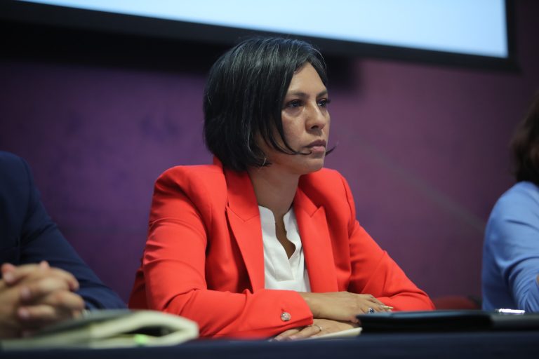 Norma Irene De La Cruz Magaña, Consejera Electoral del INE.