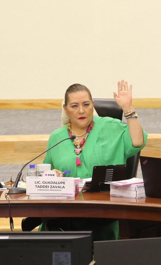 Guadalupe Taddei Zavala, Consejera Presidenta.