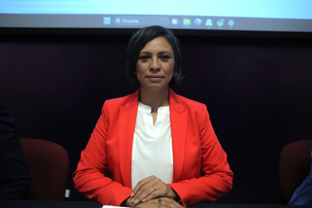 Consejera Electoral Norma Irene de la Cruz