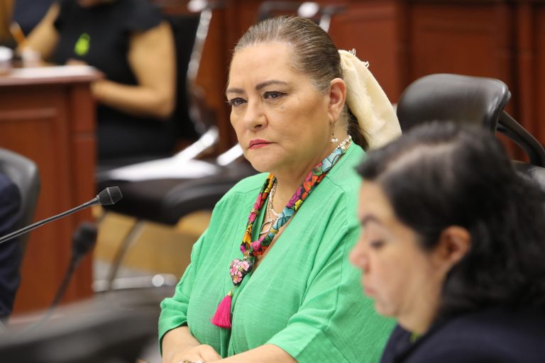 Guadalupe Taddei Zavala, Consejera Presidenta.