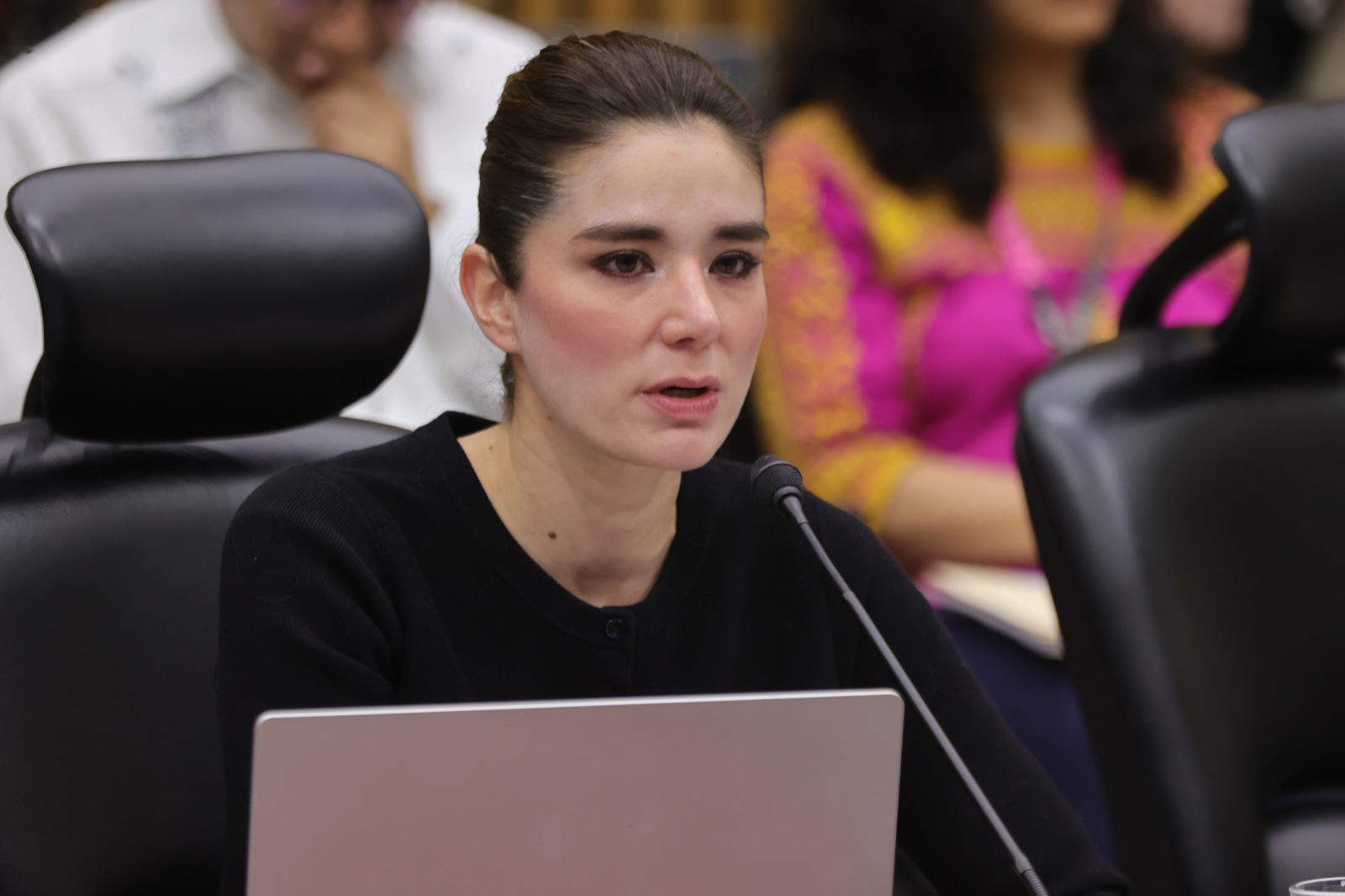 Dania Ravel Cuevas, Consejera Electoral