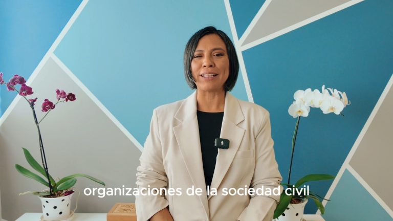 Norma Irene De La Cruz Magaña, Consejera Electoral del INE.