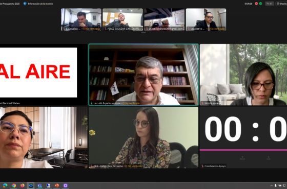 Consejerías integrantes de la Comisión Temporal de Presupuesto del INE para el ejercicio 2025