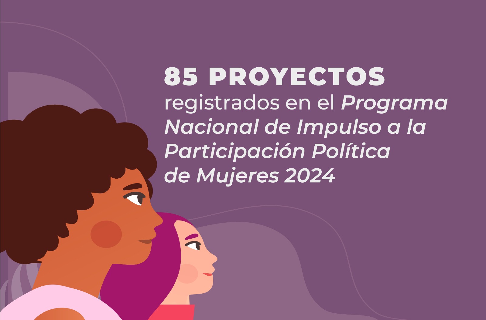 85 Proyectos registrados en el Programa Nacional de Impulso a la Participación Política de Mujeres 2024