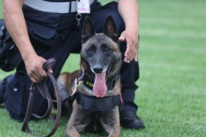 Reconocimiento Unidad Canina del INE