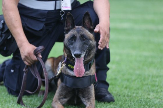 Reconocimiento Unidad Canina del INE