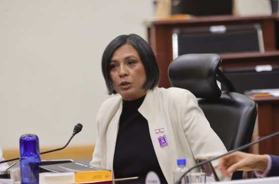 Norma Irene De La Cruz Magaña, Consejera Electoral