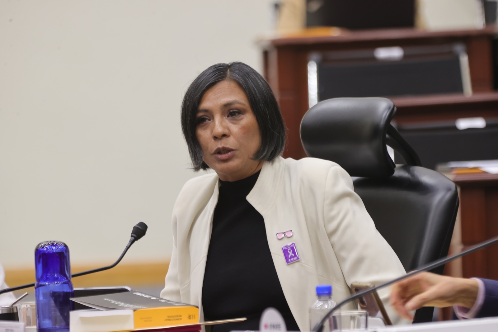 Norma Irene De La Cruz Magaña, Consejera Electoral