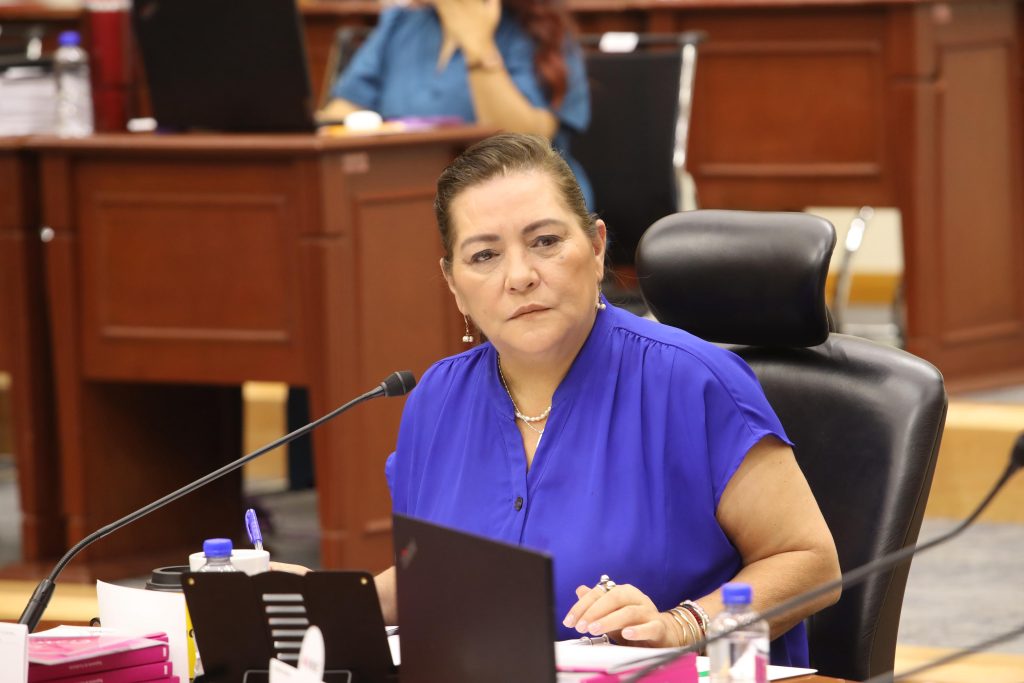Consejera Presidenta del INE, Guadalupe Taddei