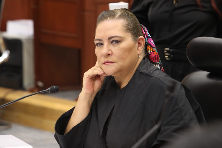 Guadalupe Taddei Zavala, Consejera Presidenta.