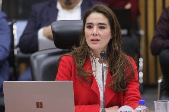 Dani Ravel Cuevas, Consejera Electora