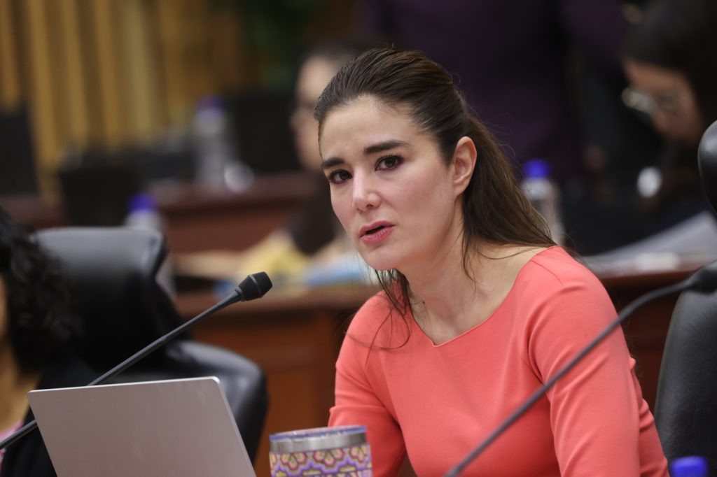 Dania Ravel Cuevas, Consejera Electoral.