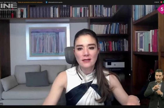 Dania Ravel Cuevas, Consejera Electoral