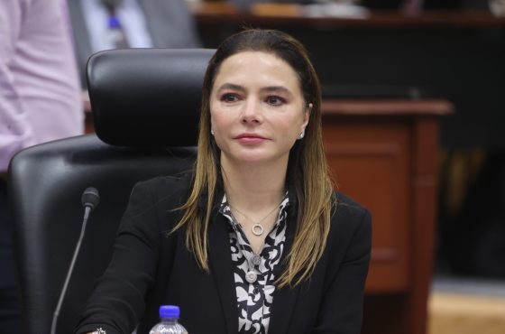 Carla Humphrey Jordan, Consejera Electoral