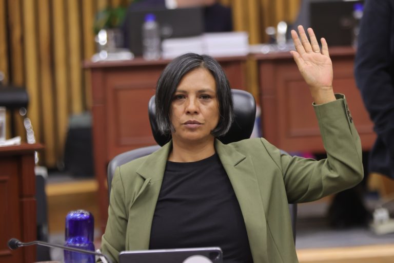 Norma Irene De La Cruz Magaña, Consejera Electoral.