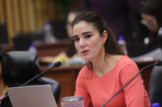 Dania Ravel, Consejera Electoral