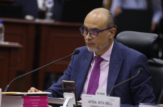 Martín Faz, Consejero Electoral