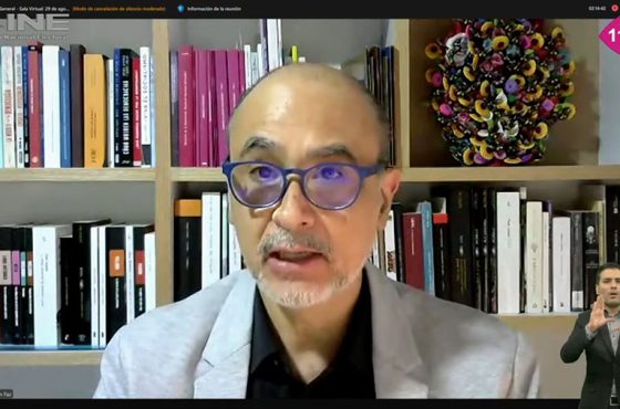 Martín Faz, Consejero Electoral