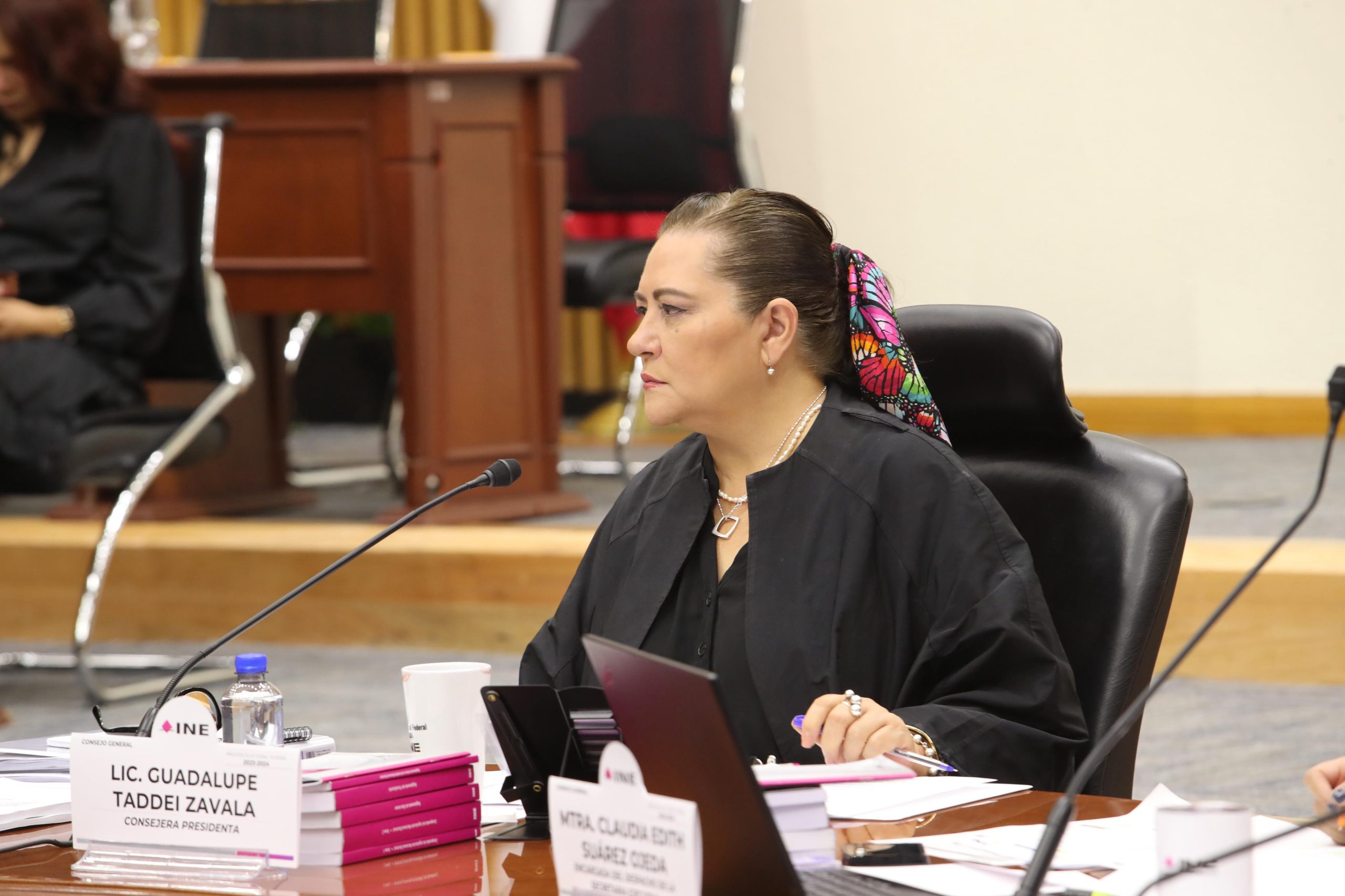 Guadalupe Taddei, Consejera Presidenta del INE
