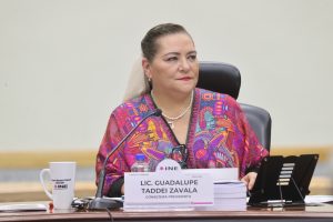 Guadalupe Taddei, Consejera Presidenta del INE