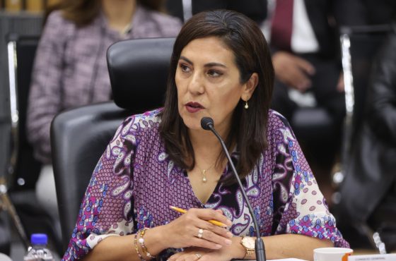 Claudia Zavala, Consejera Electoral