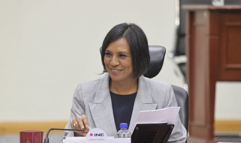 Norma Irene De La Cruz Magaña, Consejera Electoral