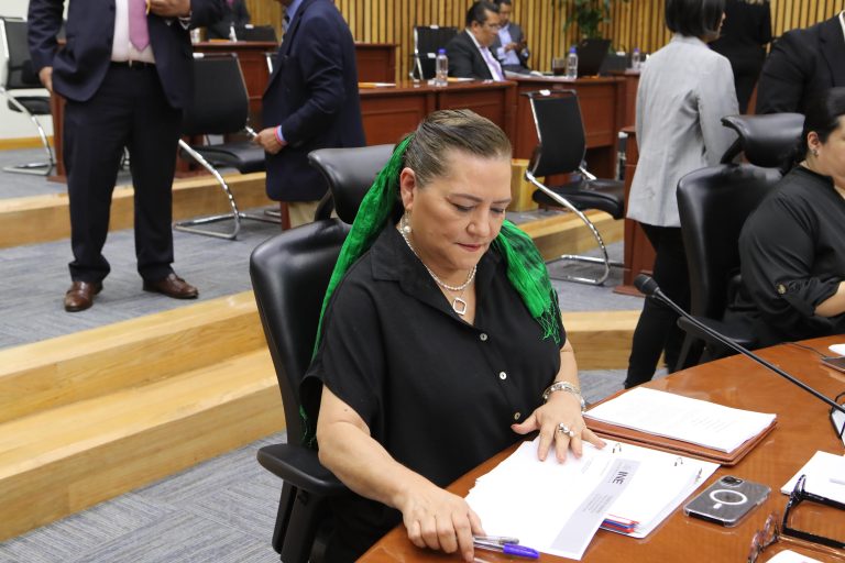 Guadalupe Taddei Zavala, Consejera Presidenta.