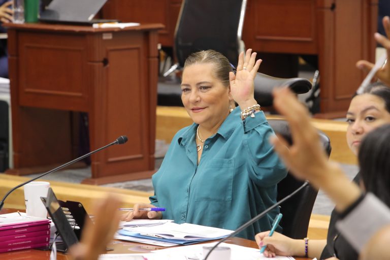 Guadalupe Taddei Zavala, Consejera Presidenta.