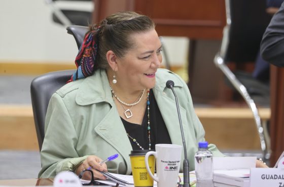 Guadalupe Taddei Zavala, Consejera Presidenta