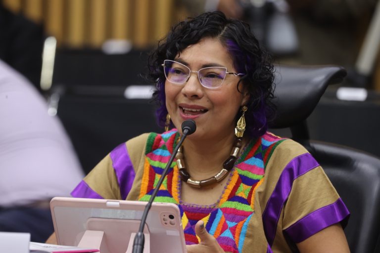 Rita Bell López Vences, Consejera Electoral.