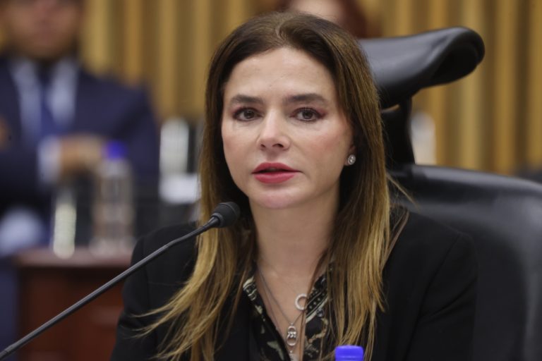 Carla Humphrey Jordan, Consejera Electoral