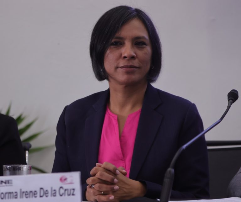 Norma Irene De La Cruz Magaña, Consejera Electoral.