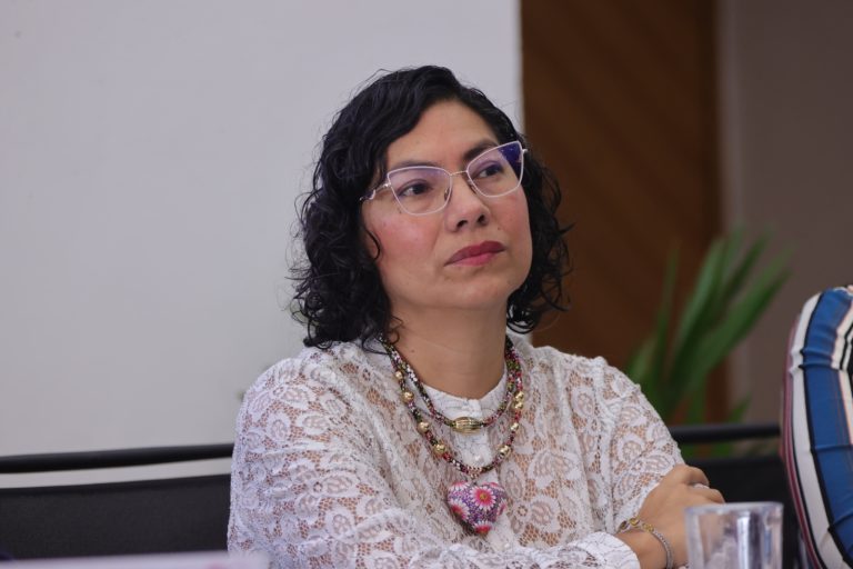 Rita Bell López Vences, Consejera Electoral.