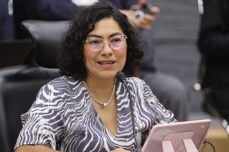 Rita Bell López Vences, Consejera Electoral.