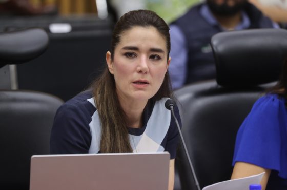 Consejera Electoral, Dania Ravel