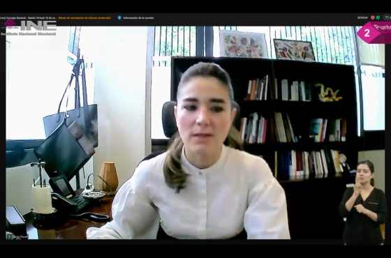 Consejera Electoral, Dania Ravel