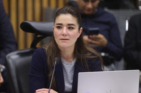 Dania Ravel, Consejera Electoral